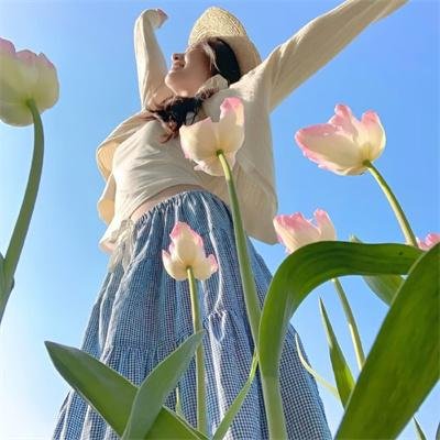 八面玲珑的申小姐